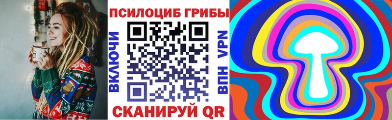 Псилоцибиновые грибы MAGIC MUSHROOMS  где купить наркотик  Малгобек 