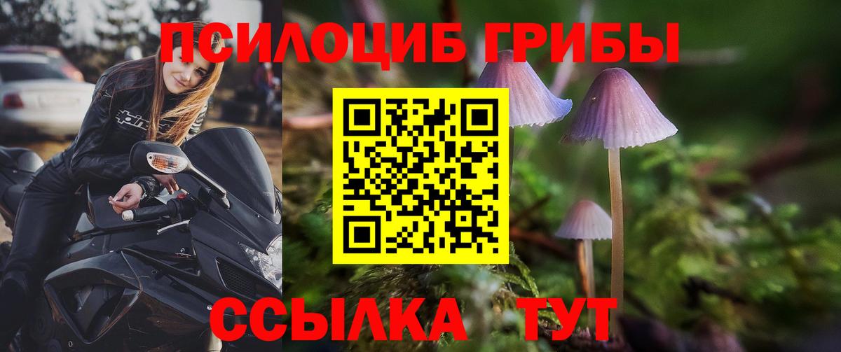 Псилоцибиновые грибы MAGIC MUSHROOMS Малгобек